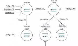 Tagrisso（Osimertinib，AZD9291）耐药对策