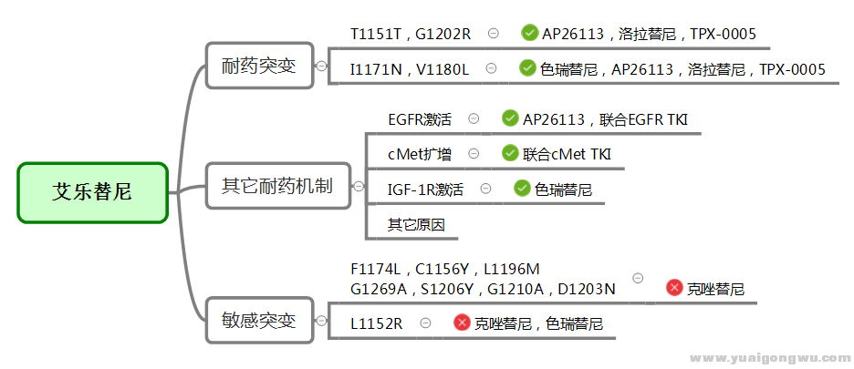 艾乐替尼树状图.png