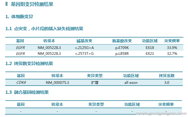 基因检测结果