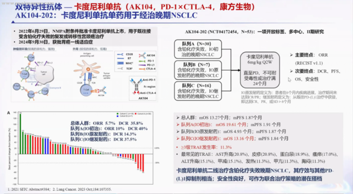 双抗1.png