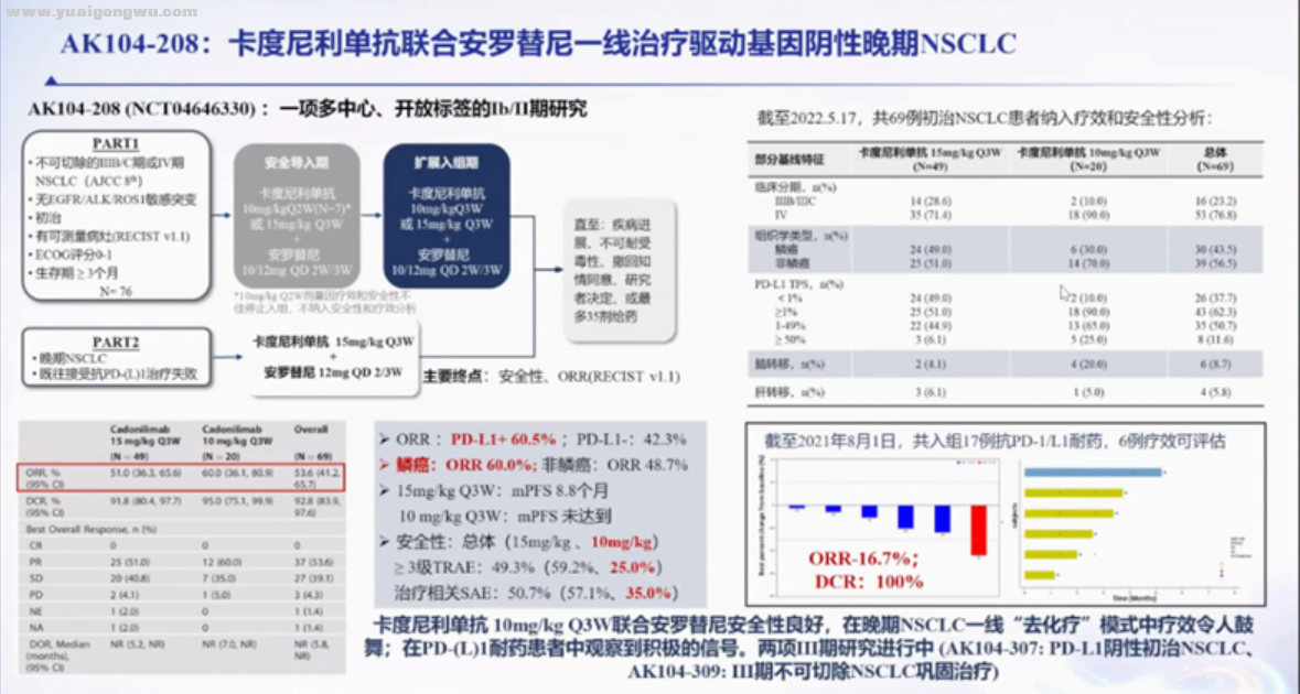 双抗2.png