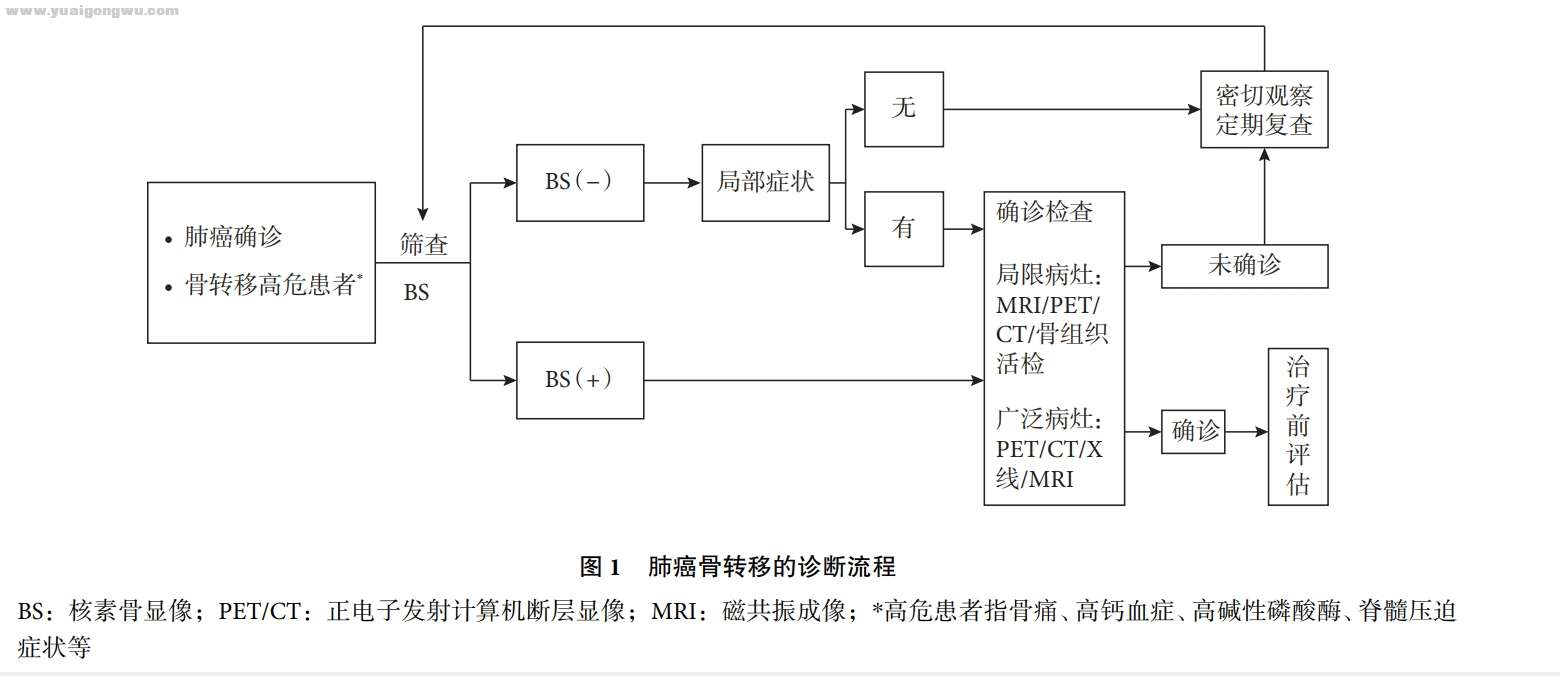 惋惜 关于一位术后2期肺腺癌病友止步4年最终陷于脑转骨转乱局的思考